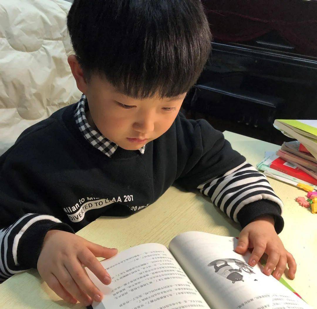 馨辰装饰_馨辰生活百科_馨宸集团是干什么的