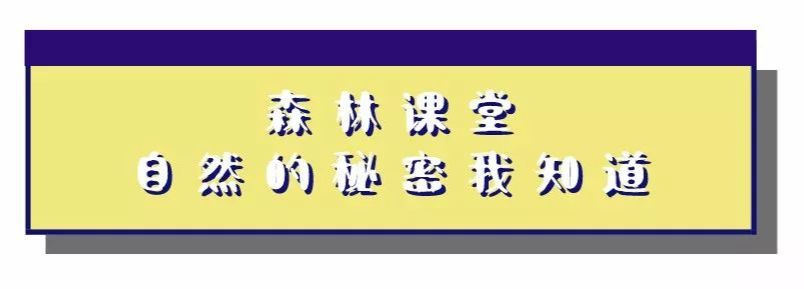 幼儿园生活技能培训_幼儿生活技能课程机构_幼儿生活技能课的意义