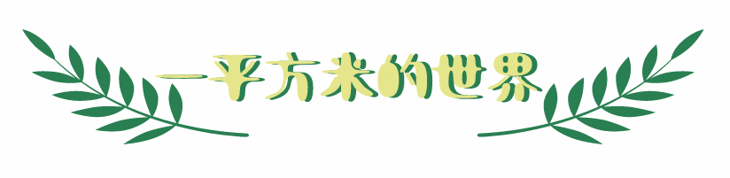 幼儿生活技能课程机构_幼儿园生活技能培训_幼儿生活技能课的意义