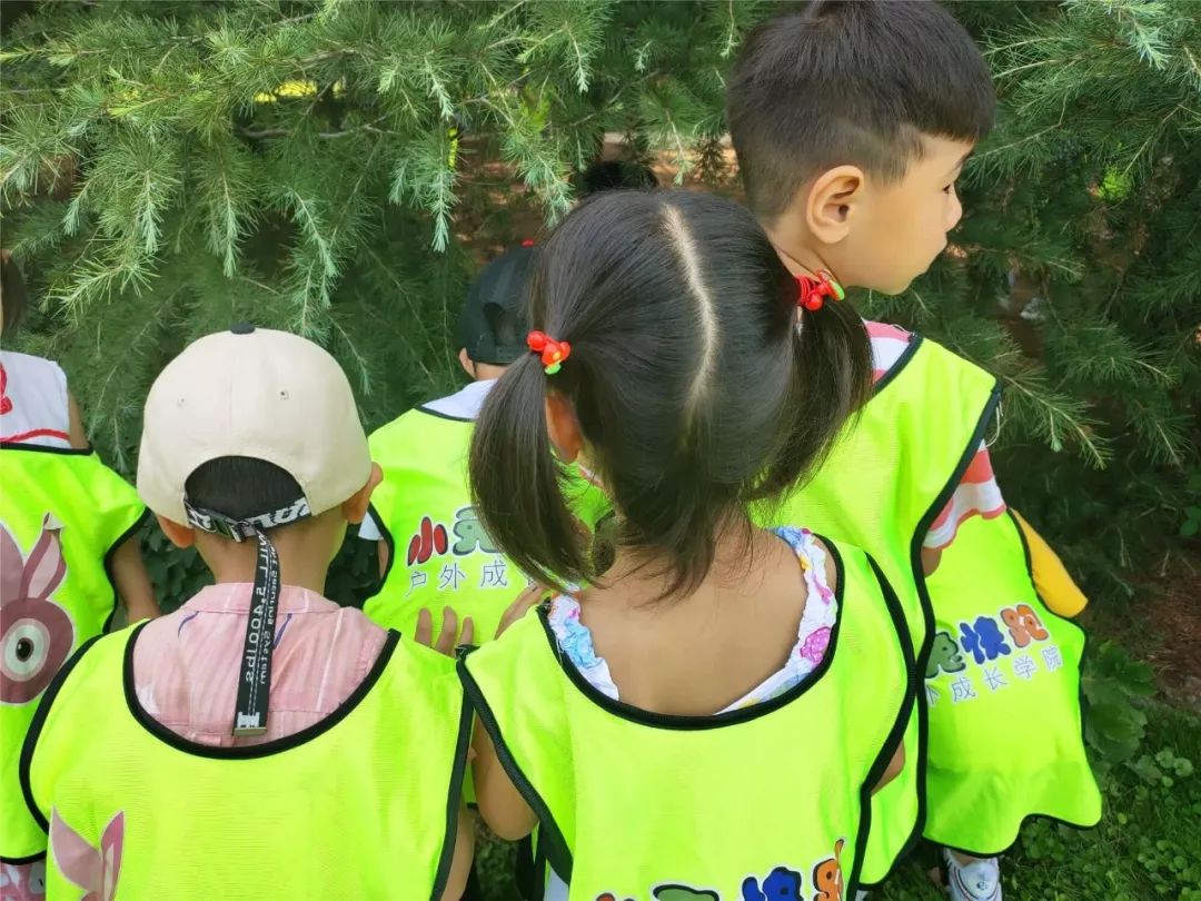 幼儿生活技能课的意义_幼儿园生活技能培训_幼儿生活技能课程机构