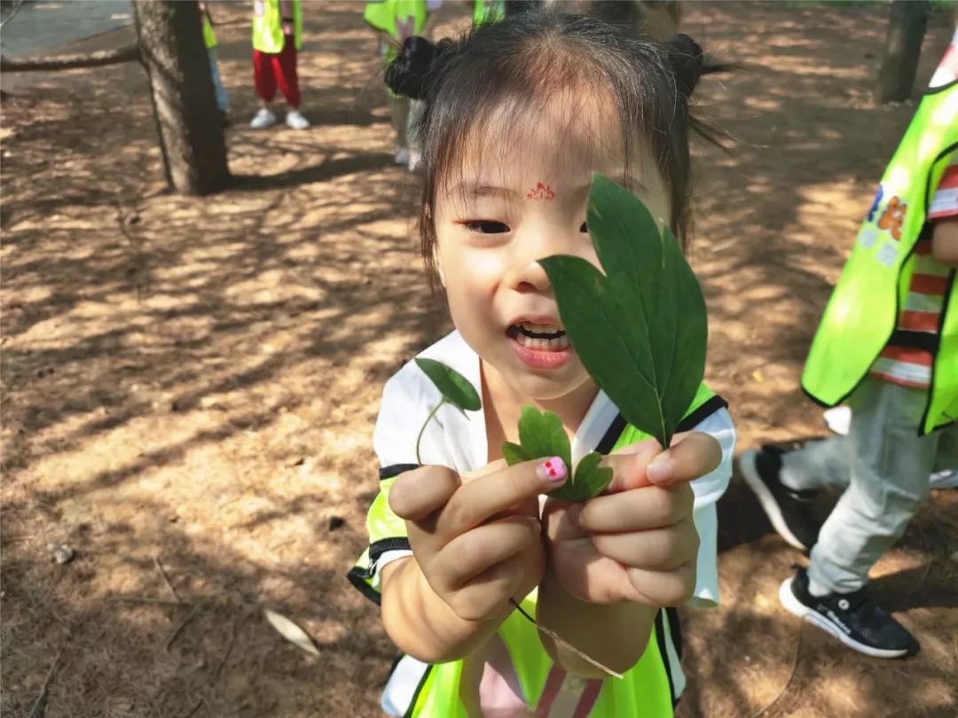 幼儿生活技能课的意义_幼儿园生活技能培训_幼儿生活技能课程机构