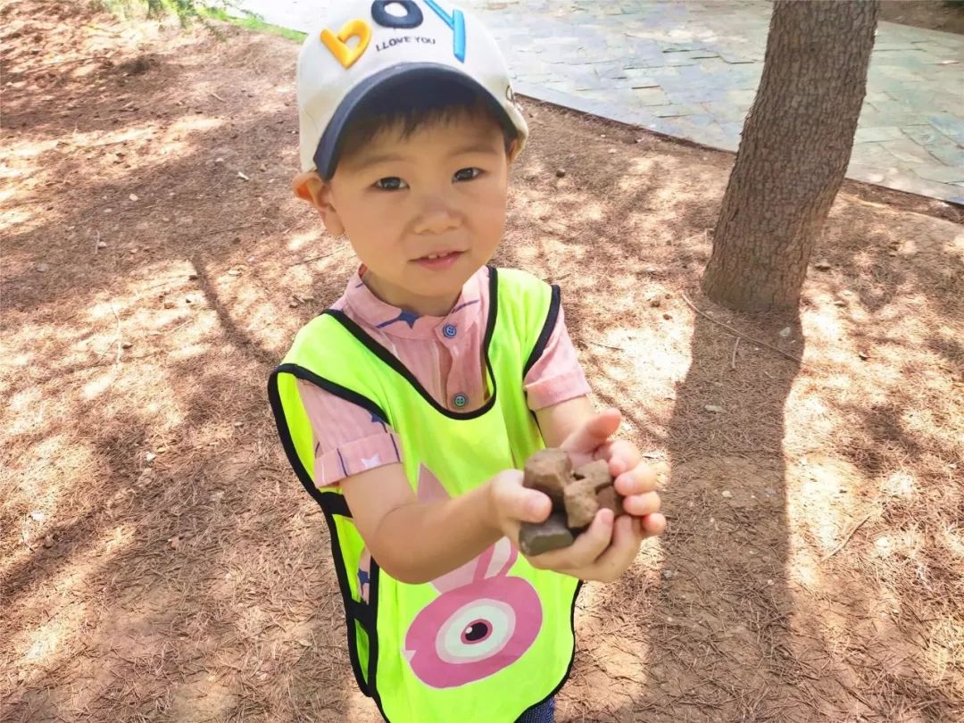 幼儿生活技能课程机构_幼儿园生活技能培训_幼儿生活技能课的意义