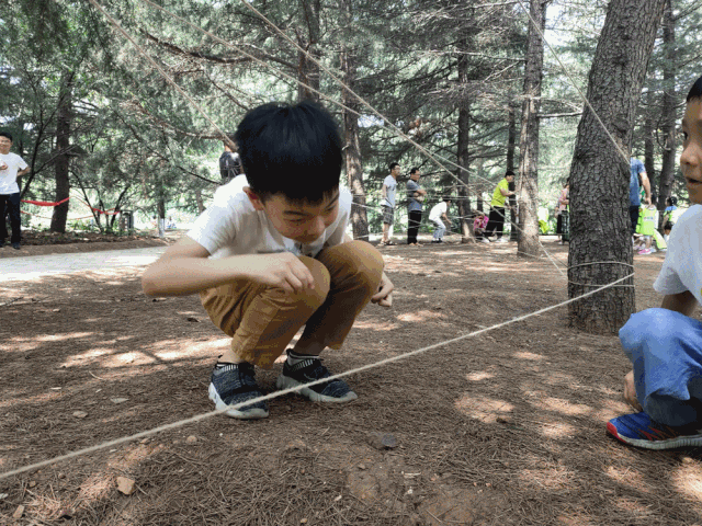 幼儿园生活技能培训_幼儿生活技能课的意义_幼儿生活技能课程机构