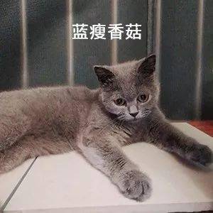李诞健身房私教_李诞健身房私教_李诞健身房私教