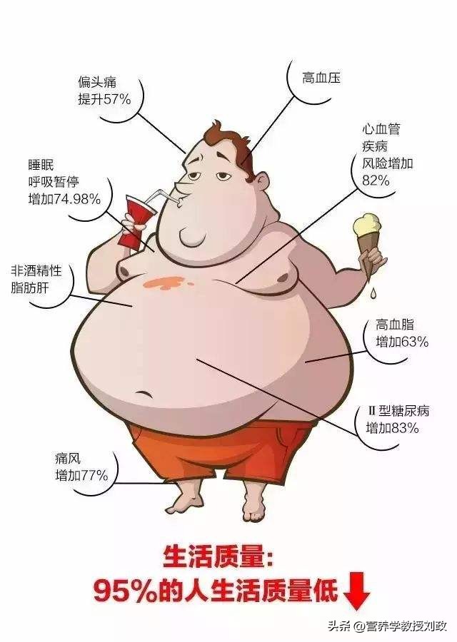 胖人运动会变壮吗_胖人运动项目_胖人运动