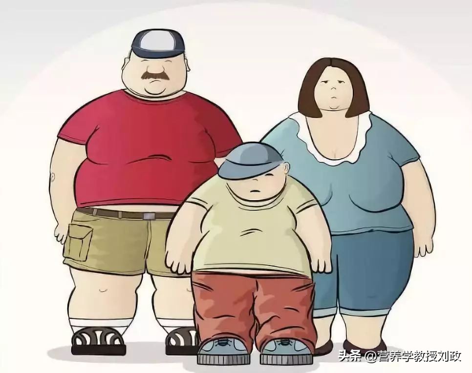 胖人运动项目_胖人运动_胖人运动会变壮吗