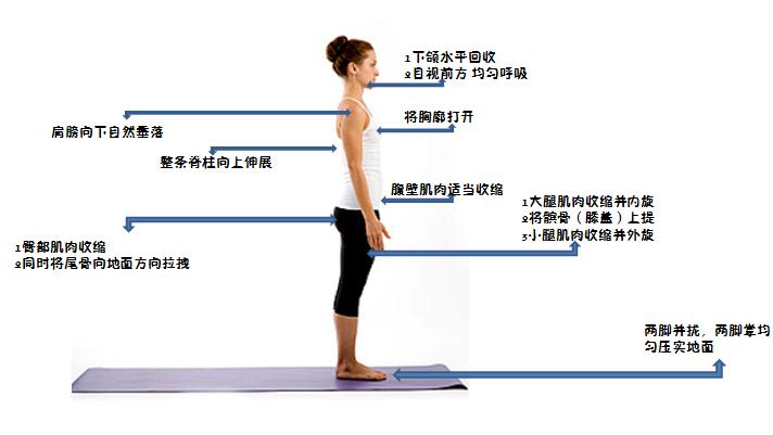 胖人运动会变壮吗_胖人运动是不是消耗大_胖人运动