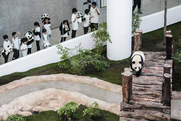 卡塔尔足球历史实力_足球卡塔尔实力历史排名_足球卡塔尔实力历史变化